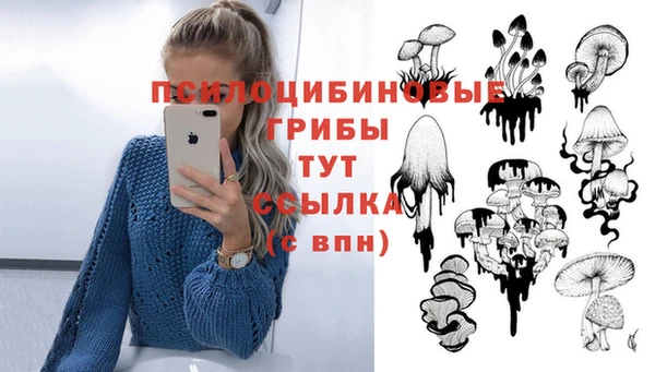 скорость Баксан