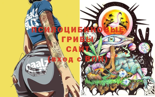 скорость Баксан