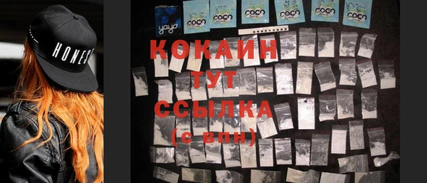 гашик Балахна
