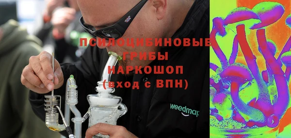 гашик Балахна