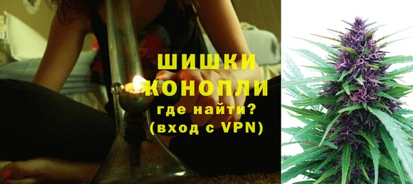 гашик Балахна