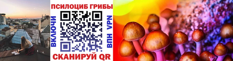 Псилоцибиновые грибы GOLDEN TEACHER  закладка  МЕГА зеркало  Зима 
