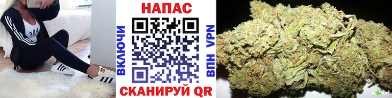 нарко площадка состав  Зима  Каннабис семена  где купить наркоту  МЕГА вход 